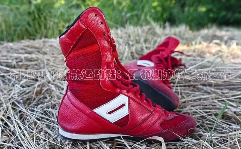 利郎2025新款运动鞋：引领潮流的革新之作