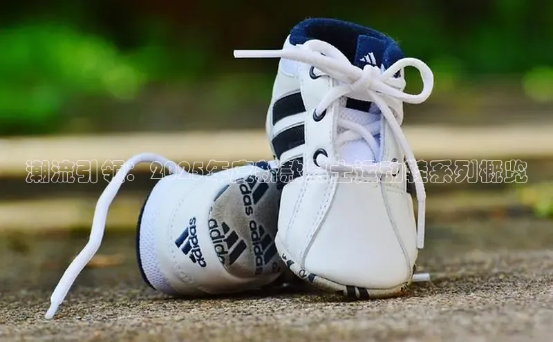 潮流引领：2025年度新款男士运动鞋系列概览