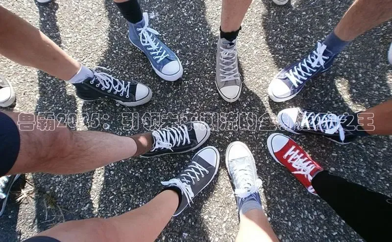 兽霸2025：引领未来潮流的全新运动之王